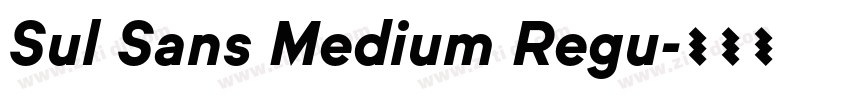 Sul Sans Medium Regu字体转换